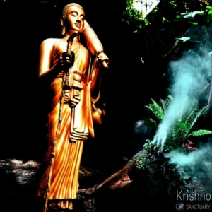 Krishno- Sanctuary 2k21